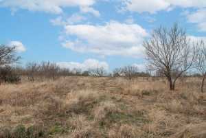 9290 Buck Ridge (14)