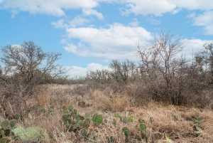 9290 Buck Ridge (18)