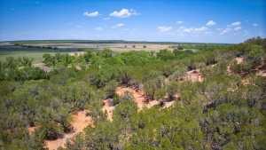 Hwy 29 (2)