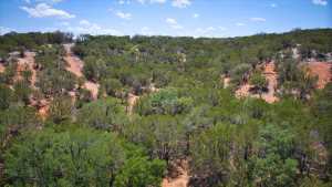 Hwy 29 (7)