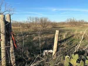10082A N Hwy 87 (2)