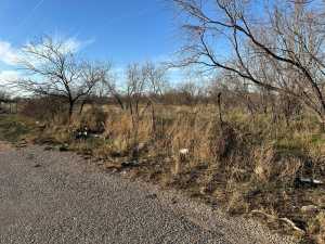 10082A N Hwy 87 (3)