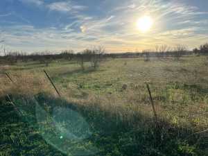 10082A N Hwy 87 (4)