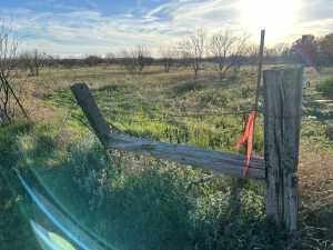 10082A N Hwy 87 (5)