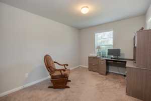 218 Holland Park (33)