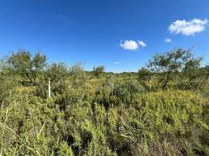 8502 Evergreen Lane (2)