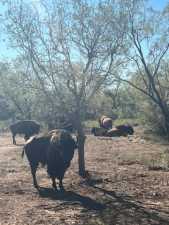 9401 Collett Rd (71)