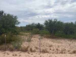 10373 Mountain View Lane (4)