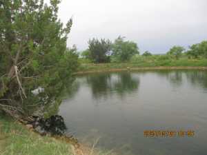420 Juniper Rd (22)