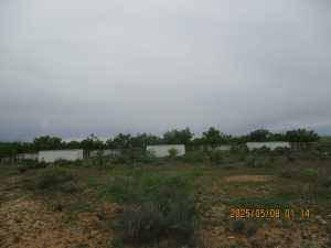 420 Juniper Rd (24)