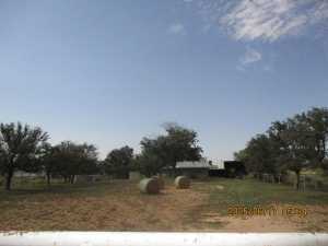 420 Juniper Rd (5)