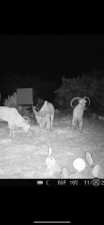 13812 High Lonesome Rd (51)