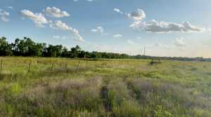 962 County Rd 261 (4)