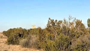 1235 Rocky Top Rd (11)