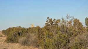 1235 Rocky Top Rd (18)