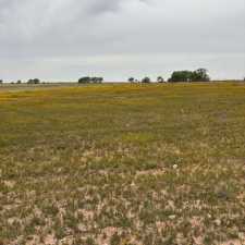 Private Rd 3922 (7)