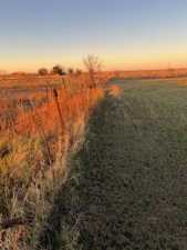 8939 Petite Lane (10)