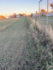 8939 Petite Lane (11)