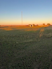 8939 Petite Lane (12)