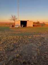 8939 Petite Lane (13)