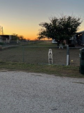 8939 Petite Lane (17)