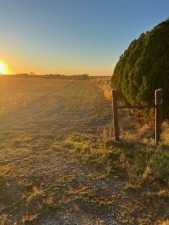 8939 Petite Lane (2)