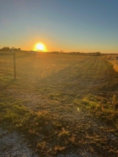 8939 Petite Lane (3)