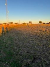 8939 Petite Lane (4)