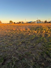 8939 Petite Lane (5)