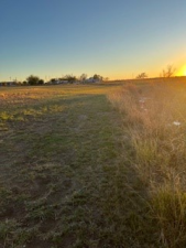 8939 Petite Lane (6)