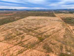 564 Cedar Cove Rd (15)