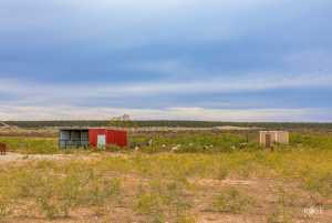 564 Cedar Cove Rd (4)