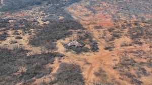 779 Rogers Loop (12)