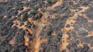 779 Rogers Loop (3)