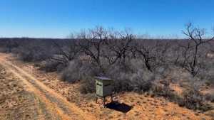 779 Rogers Loop (5)