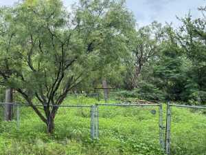 406 Barnett St (3)