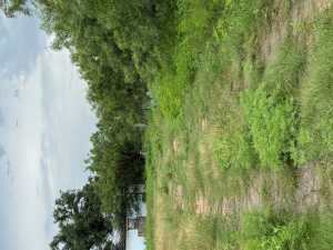 406 Barnett St (4)