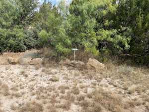 tract 9 Colorado Trail (3)
