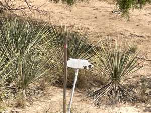 tract 9 Colorado Trail (4)
