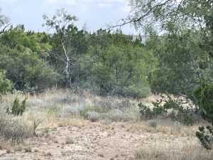 tract 9 Colorado Trail (5)