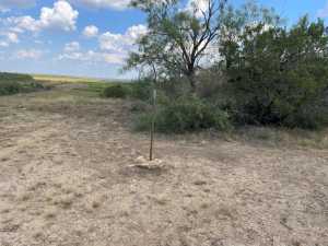 tract 9 Colorado Trail (6)