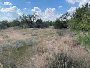 tract 9 Colorado Trail (7)