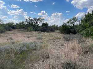tract 9 Colorado Trail (8)