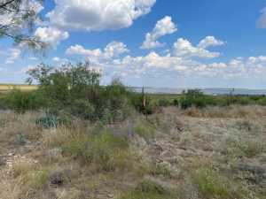 tract 9 Colorado Trail (9)