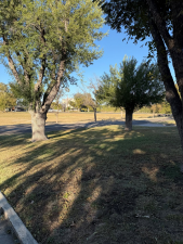 1221 Forest Park Ave (33)