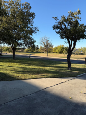 1221 Forest Park Ave (34)