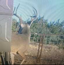 3100 Private Rd 2204 (20)