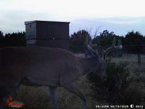 3100 Private Rd 2204 (13)