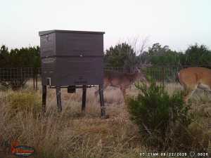 3100 Private Rd 2204 (14)