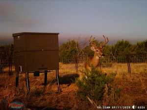 3100 Private Rd 2204 (16)